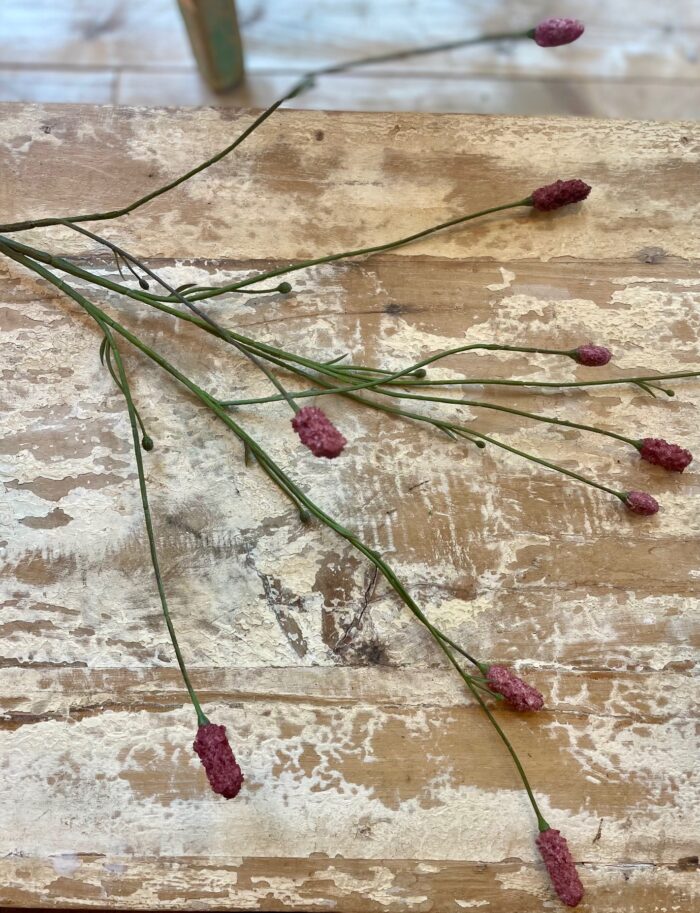 Pimpinell Burgundy