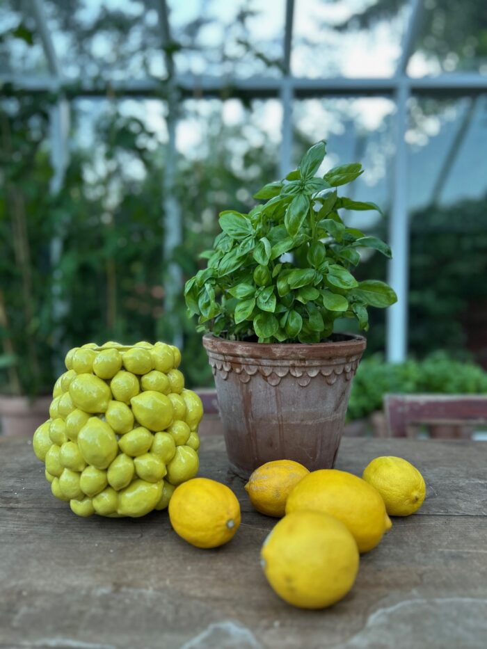 Citron Vas S - Bild 2