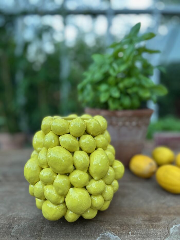 Citron Vas S