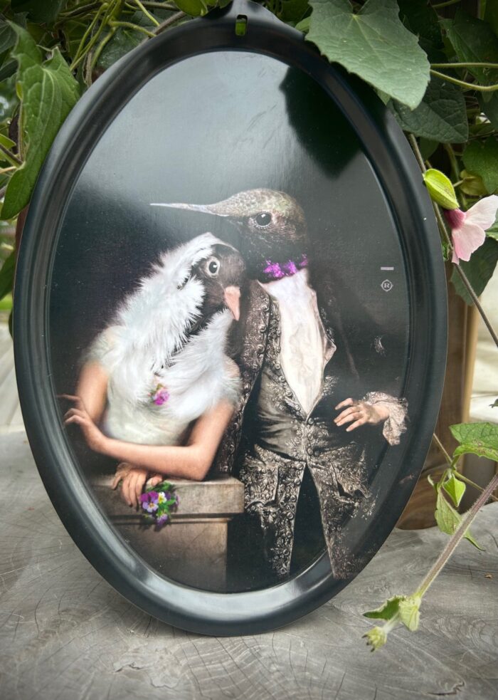 Ibride "The Lovebirds" Liten bricka