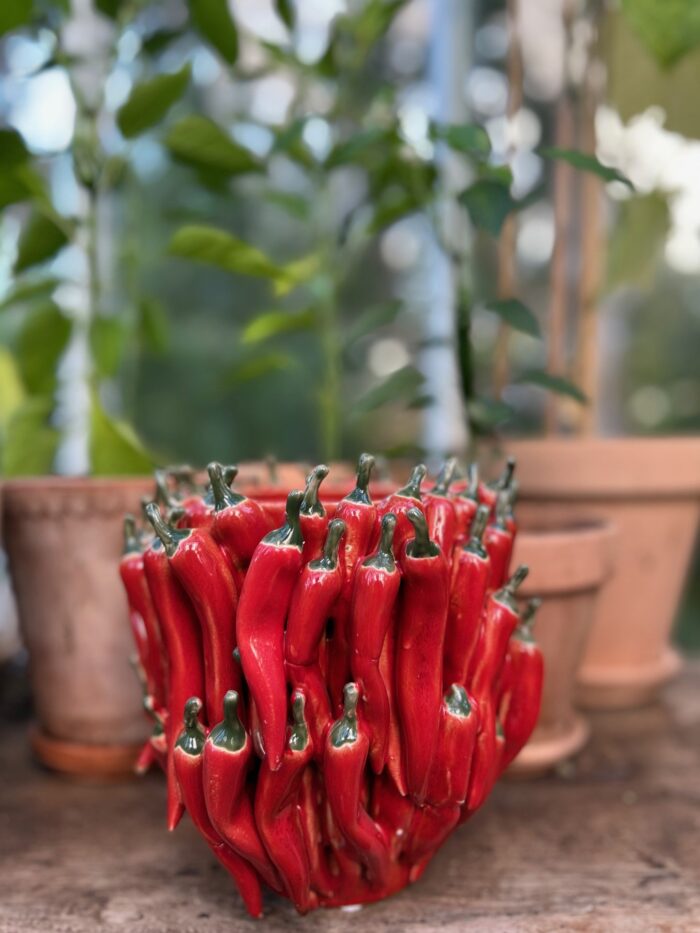 Chili Vas - Bild 2