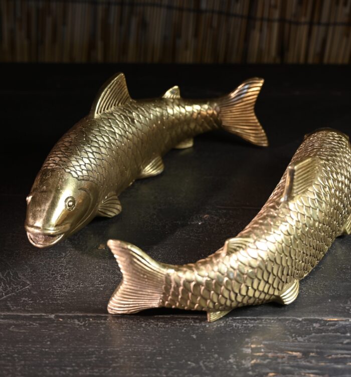 Koi fish