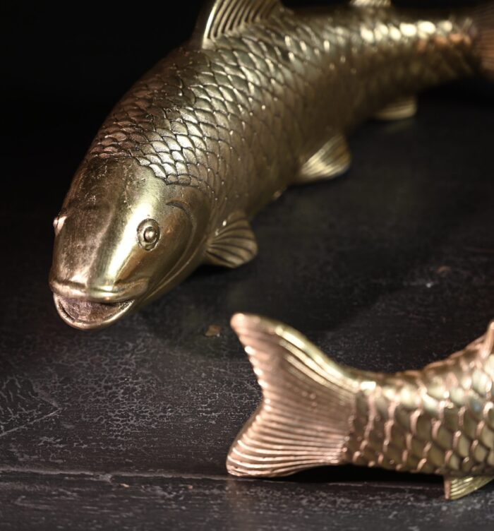Koi fish - Bild 2