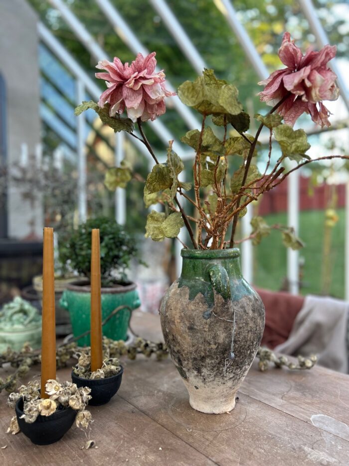 Geranium - Bild 2