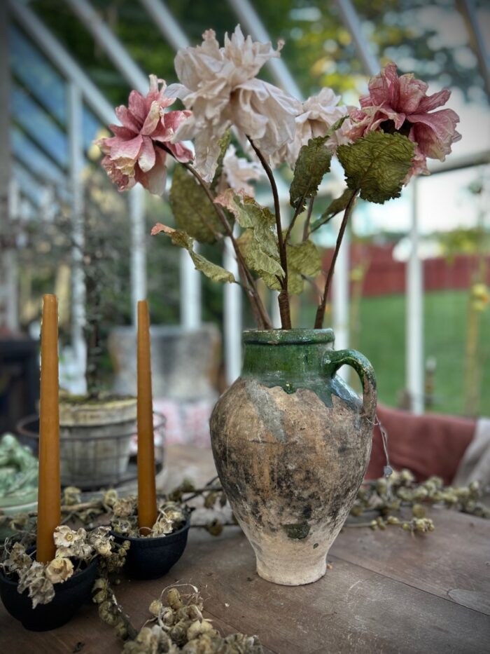 Dahlia Nude - Bild 3
