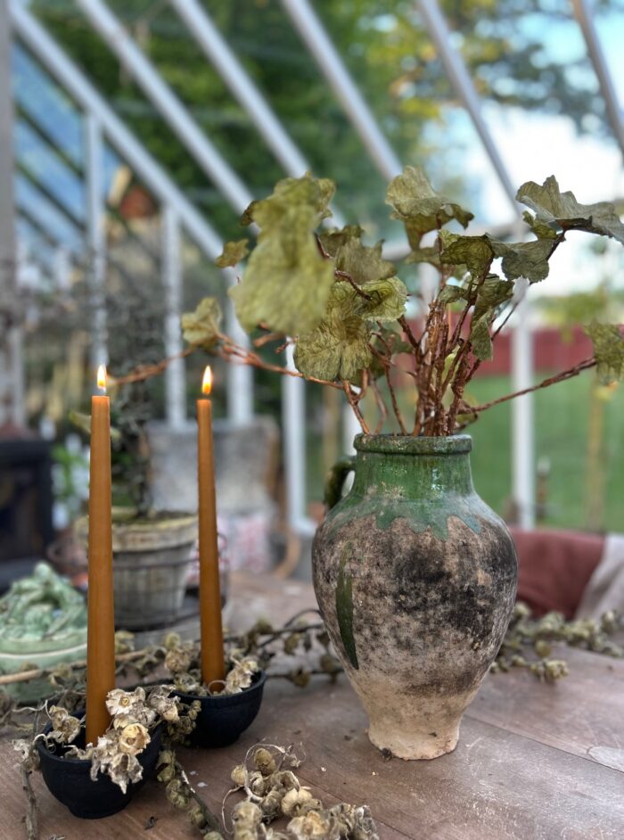 Geranium - Bild 3